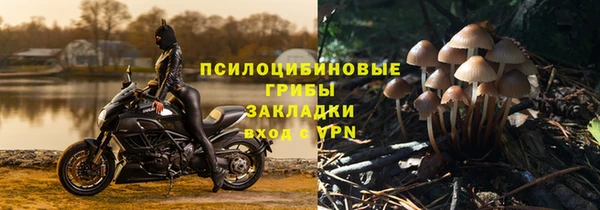 Альфа ПВП Абаза